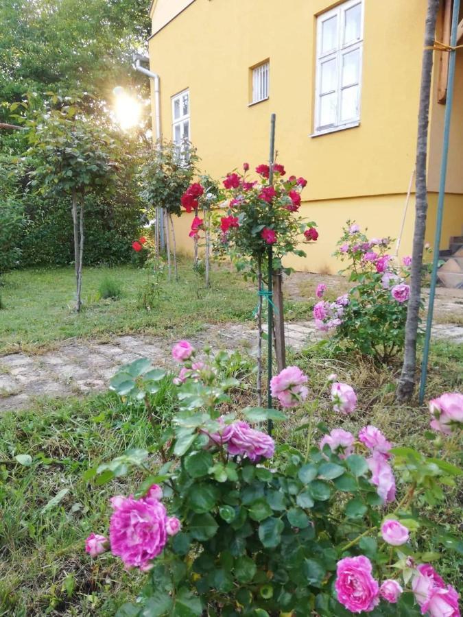Szorcsik Haz 1913 Apartment Senta Exterior photo